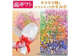 ふわふわブーケ ｜ 生花 花 ギフト ロマンチックかすみ草 七色 輝く カスミソウ カスミ草 かすみそう お祝い プレゼント カラフル 花束 おしゃれ