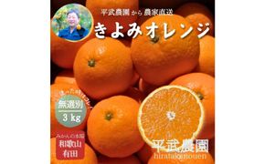 農家直送！きよみオレンジ 3kg 無選別≪秀品・訳あり品・サイズ混合≫［平武農園］～蛍飛ぶ町から旬の便り～［2026年3月下旬から順次発送予定］ BX83