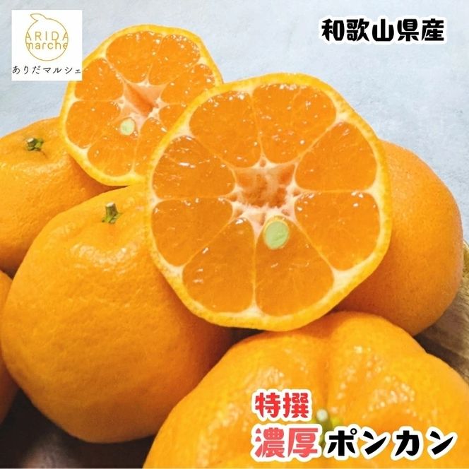 【ふるさと納税】【先行予約】極甘 柑橘 特選 濃厚 ポンカン3kg+200g(傷み補償分) / みかん 柑橘 果物 フルーツ 甘い 和歌山 晩柑 有田 ※2027年1月上旬～2月下旬に順次発送 ※北海道・沖縄・その他離島地域は発送不可 【ard008-p-3A】