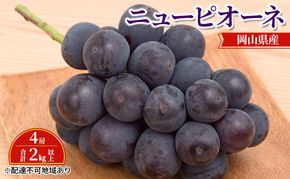 ぶどう 【2026年 先行予約】 ニュー ピオーネ 4房 合計2kg以上 ブドウ 葡萄 岡山県産 国産 フルーツ 果物 ギフト