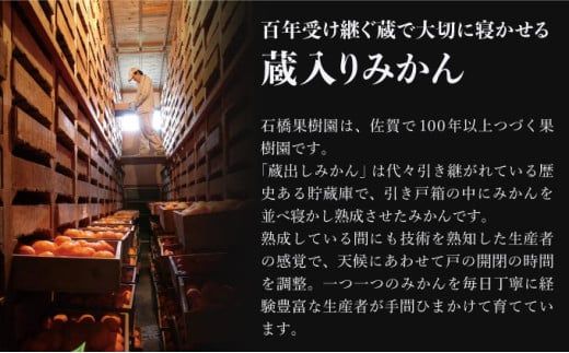 【期間限定】 ＜選べる種類と内容量＞さがみかん （5代目みかん or 蔵入りみかん) (4.5kg or 9.5kg）【温州みかん 甘い 濃厚 ジューシー コク 完熟 熟成みかん 蔵出し 蔵入り 柑橘 密柑 ギフト 果物 フルーツ 佐賀県産 佐賀県 大和 太良 石橋果樹園 人気】