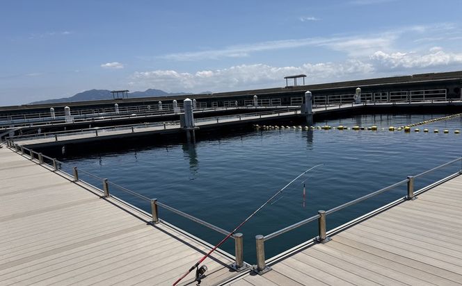 海洋体験施設うみんぐ大島 釣堀体験1名様分【(株)むなかた大島】_HA2029 体験 チケット 福岡県宗像市 宗像市 福岡 宗像