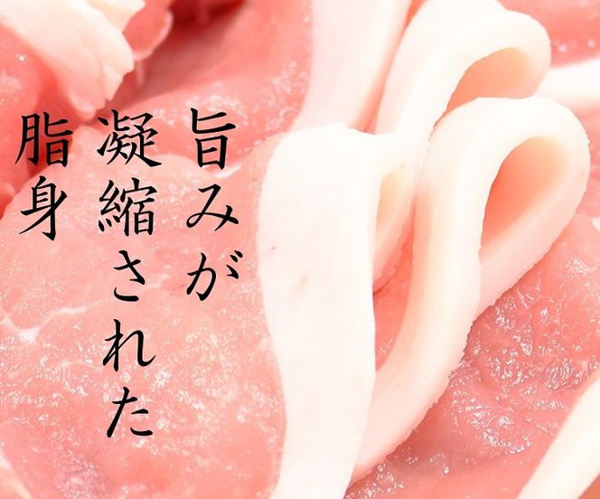 白金豚ヒレ丸2本(冷凍)　かたまり肉ブロック【1919】