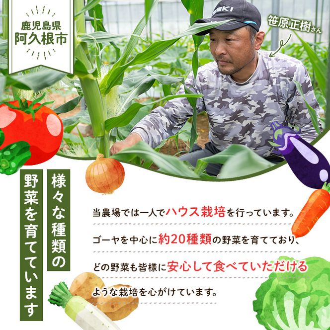 ＜先行予約受付中！2026年5月下旬以降順次発送予定＞とうもろこし ゴールドラッシュ(15本) 国産 旬 野菜 青果 トウモロコシ 期間限定【笹原正樹】akn094-01