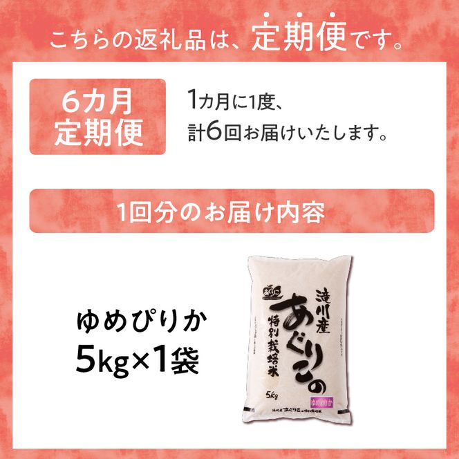 《令和7年産》特別栽培米ゆめぴりか 5kg×6ヵ月定期便 | 16年連続特A ブランド米 白米 精米 米 お米 こめ 減農薬 単一原料米 ご飯 北海道米 北海道 滝川市