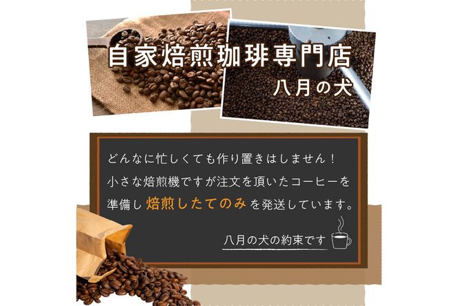 【栽培期間中農薬不使用】自家焙煎コーヒー豆　お試しセット（200gx3種）八月の犬　珈琲豆　ドリップ　飲み比べ　ブホペ 飲料 珈琲 こーひー コーヒー coffee　HA00021