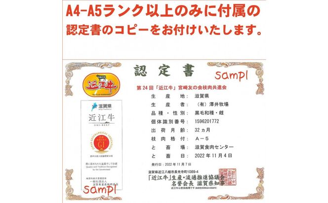 近江牛 スネ肉 500ｇ【 近江牛 ハラルビーフ スネ肉 澤井姫和牛 】 272230_AS034