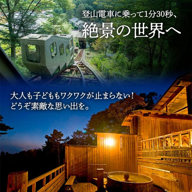 常盤館 展望露天風呂 入浴券5枚 チケット 温泉利用券 