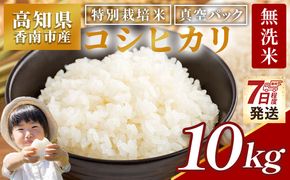 【7日程度で発送】無洗米 高知県香南市産 特別栽培米 真空パック コシヒカリ 10kg - 国産 米 お米 おこめ こしひかり 白米 ごはん おにぎり おむすび ご飯 農業公社 高知県 香南市 常温 nu-0004