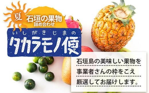 《2025年7月中旬～9月上旬順次発送予定》石垣島の夏「果物」詰め合わせ～夏のタカラモノ果物便～【 産地直送 沖縄 石垣 石垣島 くだもの トロピカルフルーツ 果物 南国 フルーツ 詰め合わせ フルーツ便 】SH-5