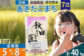 【白米】＜令和7年産＞ 《定期便8ヶ月》秋田県産 あきたこまち 匠 5kg (5kg×1袋)×8回 5キロ お米 |02_snk-010308s