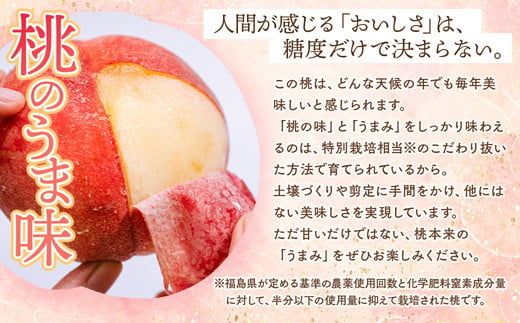 ◆2026年夏発送◆桃源のめぐみ～産直・桃・約5kg～ ※離島への配送不可 ※2026年7月上旬～9月上旬頃に順次発送予定 ｜ 先行予約 予約 数量限定 桃 もも モモ 果物 くだもの フルーツ 詰め合わせ 福島 ふくしま