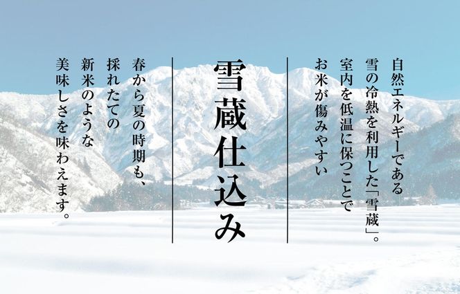 T-14【令和7年産 頒布会】無洗米 魚沼産コシヒカリ 4kg×全6回米 コメ こしひかり 精米 ブランド米 お取り寄せ 十日町市