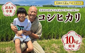 【令和7年産】訳あり コシヒカリ 中米 精米 10kg【茨城県共通返礼品　美浦村産】｜ 規格外 こしひかり 白米 ※離島への配送不可