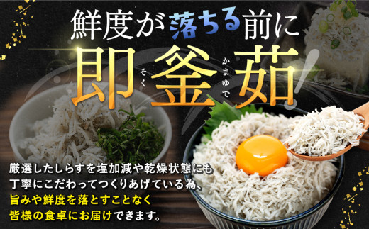訳あり 釜揚げ しらす 1kg 減塩 日間賀島 冷凍 丸豊 愛知県 南知多町 離乳食 魚 さかな ご飯 ごはん 国産 シラス ピザ サラダ おにぎり 弁当 人気 おすすめ