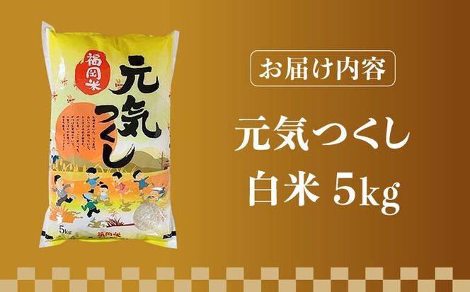 【令和5年産】福岡県産ブランド米「元気つくし」白米 5kg《築上町》【株式会社ゼロプラス】[ABDD001]