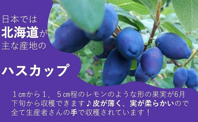 自家農園産・冷凍ハスカップ1kg（500g×2袋） 北海道 南富良野町 ハスカップ 果実 冷凍 大容量 冷凍ハスカップ 果物 フルーツ セット 詰め合わせ 