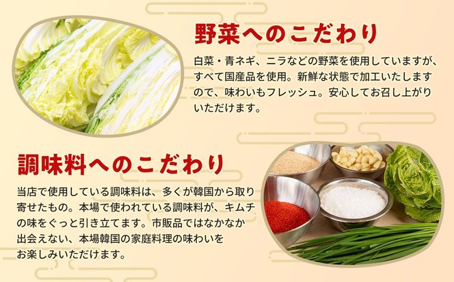 【2カ月定期便】熟成秘伝の高麗人参スプラウトキムチ(1本入り×1袋)【エナキム 健美キムチ 健康志向 熟成キムチ ご飯のお供 発酵食品 手作り 辛味控えめ 国産素材】(H104183)