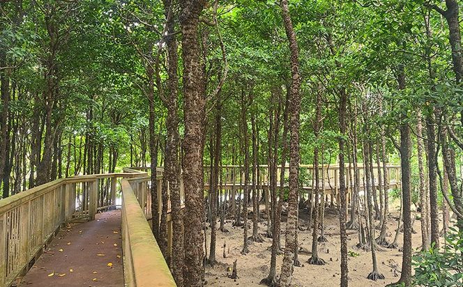 車椅子で金武町の自然と歴史とフードを満喫する我らが家は五大州5時間コース 安全第一 プロの運転技術 車椅子対応 事故防止 安全管理 丁寧な運転 安心サポート 快適 リラックス 思いやり 丁寧な接客 利用者目線 柔軟な対応 柔軟 スムーズ 地域密着 地元で 信頼のおける 家族も安心 高評価