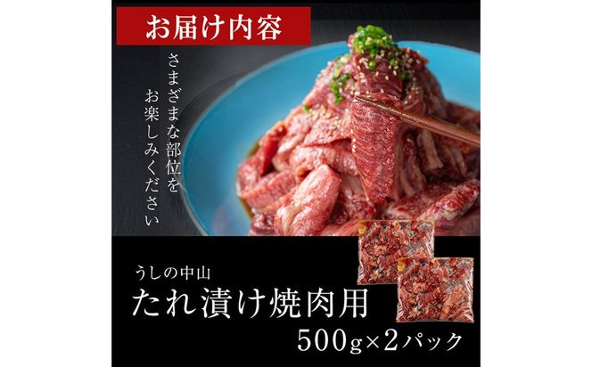 【数量限定】鹿児島県産黒毛和牛 うしの中山 タレ漬け焼肉用 計1kg(500g×2P) c0-123