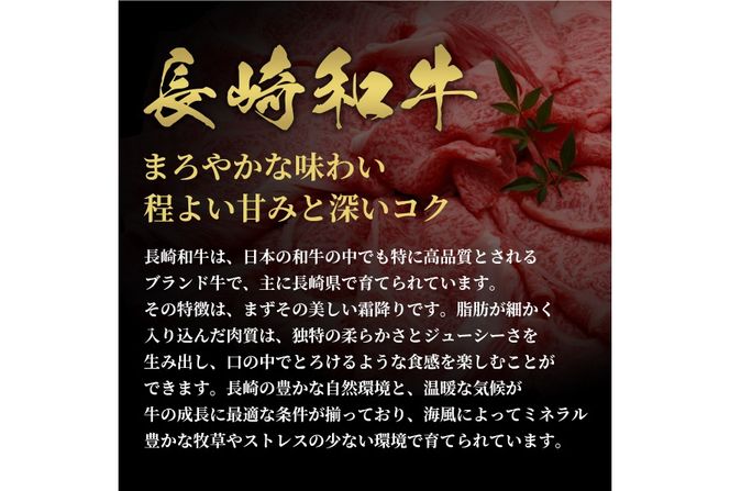 AI277 長崎和牛 一頭分買い 一括納品 [ 肉 和牛 牛肉 Giverichホールディングス 長崎県 島原市 ]