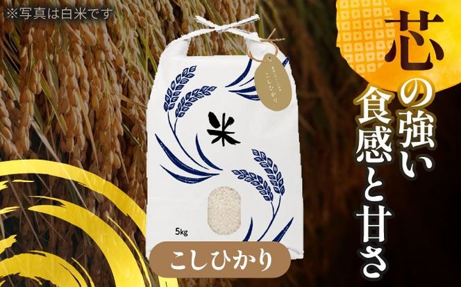 令和6年産　新米　愛知県産コシヒカリ　玄米5kg　特別栽培米　お米　ご飯／戸典オペレーター[AECT022]