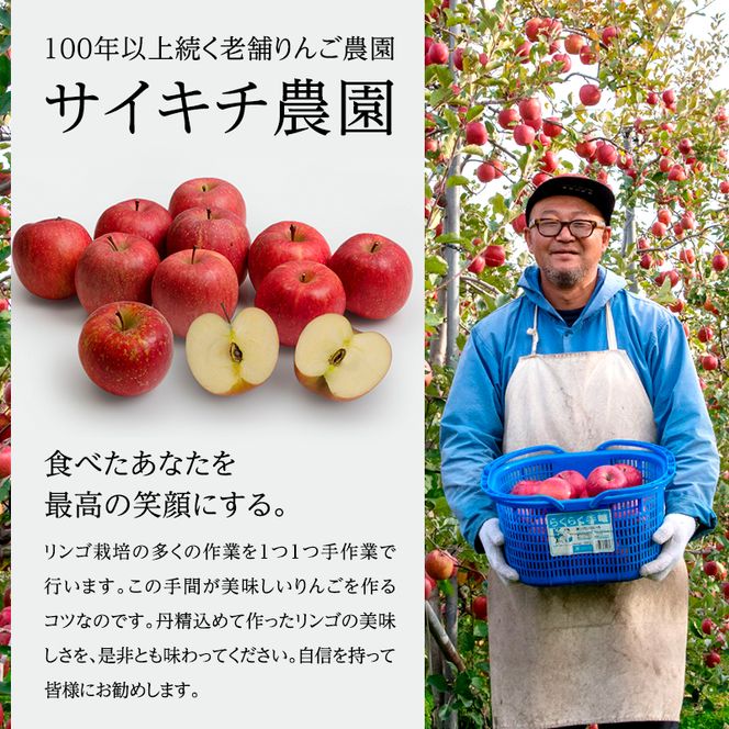 サイキチ農園 紅玉 約 3kg (8～15玉) 青森県鰺ヶ沢町産 りんご リンゴ  フルーツ 果物 果物類 林檎 