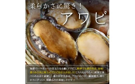 秀品サザエ1kg+蝦夷アワビ3コの贅沢海鮮バーベキューセット詰め合わせ(活きたままCAS冷凍)