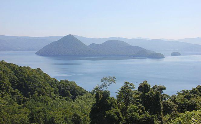 洞爺湖産わかさぎ(18尾入り×2P)・ひめます2尾(約120～140g/1尾)セット 北海道産 ワカサギ わかさぎ 川魚 魚介類 産地直送 冷凍 お取り寄せ グルメ 料理 天ぷら フライ とうやマルシェ 北海道 洞爺湖町