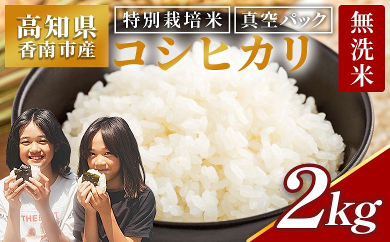 無洗米コシヒカリ 2kg [令和8年産] 高知県香南市産 特別栽培米 真空パック コシヒカリ 2kg 国産 米 お米 おこめ こしひかり 白米 ごはん おにぎり 防災 非常食 備蓄 農業公社 nu-0001