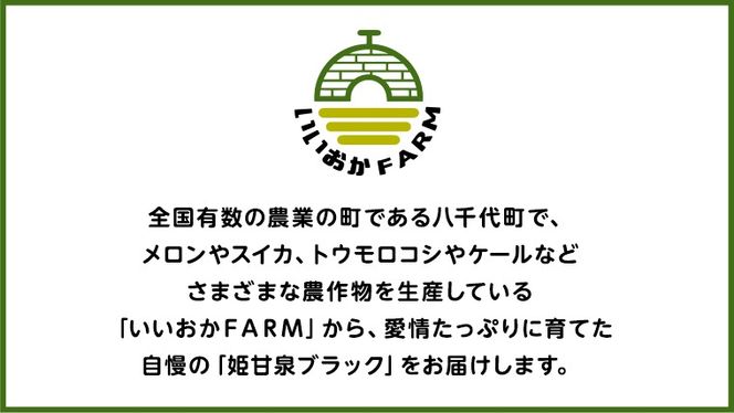 【 令和7年産 】【 先行予約 】小玉 スイカ 姫甘泉ブラック 1箱 2玉入り すいか 黒 西瓜 数量限定 甘い 夏 果物 [CG005ya]