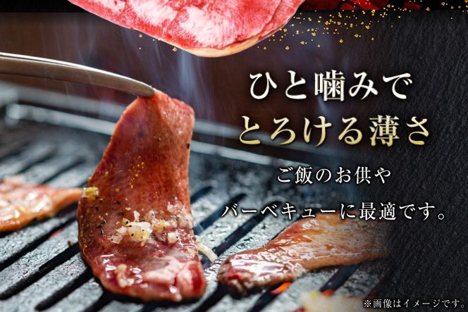 牛タン 薄切り 訳あり 塩味薄切り牛タン 500g 1P 計500g [上球磨農産 熊本県 五木村 51120345] 牛たん たん 塩牛タン 味付け肉 塩味 牛 牛肉 肉 焼肉 BBQ おすすめ 焼き肉 焼肉用 小分け 冷凍