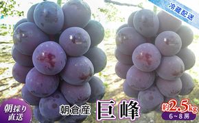 巨峰 約2.5kg 旬菜板屋 配送不可 離島 果物類 ぶどう フルーツ 