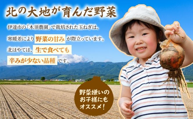 【 2026年 発送 】 先行予約 北海道 玉ねぎ 10kg M-L混合 北はやて タマネギ たまねぎ 玉葱 玉ネギ オニオン 伊達野菜  野菜 新鮮 採れたて 産地直送 サラダ マリネ 肉じゃが オニオンスープ 木須農園 送料無料