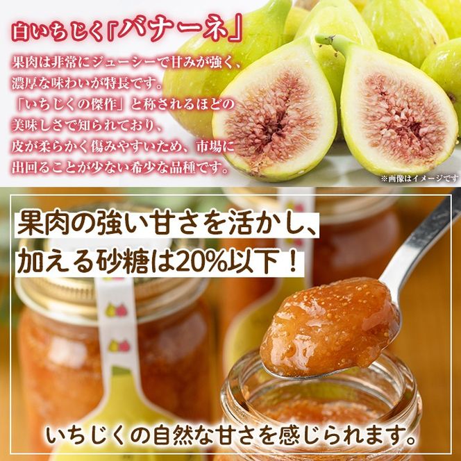 isa801 いちじくのコンフィチュールセット(計660g・220g×3個) 無花果 白いちじく バナーネ バローネ 加工食品 果物 フルーツ 果肉 低糖 ハンドメイド 【工房ゆう】