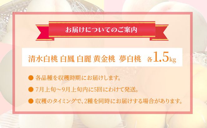 桃 2026年 先行予約 食べ比べ 約1.5kg×5種 もも 岡山県 赤磐市産 フルーツ 果物 あかいわファーマーズガーデン