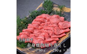 鳥取和牛赤身焼肉切り落とし　750g（250g×3P） 313726_DC003