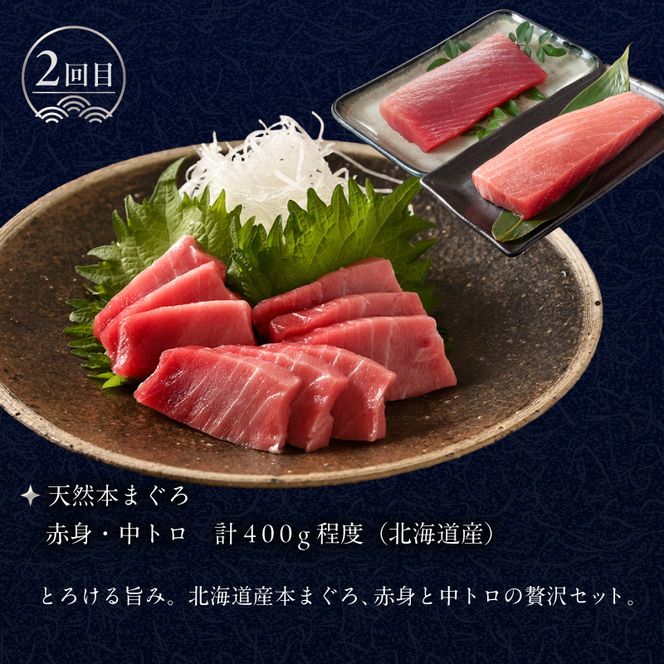 はこだて 海の幸 定期便 10万円 北海道産 プレミアム 全4回 海の恵 食通 うなる 海のごちそう セレクト 函館名物 いかそーめん いかそうめん いか刺し 戸井産 本マグロ 赤身 中トロ 函館サーモン いくら 醤油漬け 月替り お取り寄せ 北海道 函館市 送料無料_HS001-008