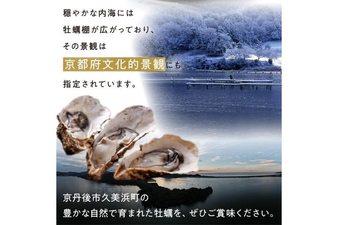 【年末年始（12月26日～1月5日）発送対応】京都・京丹後産牡蠣グラタン3個セット　AH00017