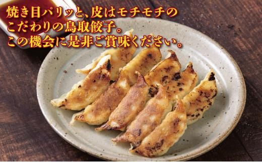 鳥取餃子 鳥取県産ブランド豚使用 60個セット (30個入り×2パック) 312011_DK005