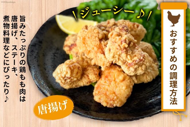 BI083 鶏肉 雲仙しまばら鶏 もも肉 260g 12袋 計3.12kg [ 小分け 鶏もも肉 若鶏 とりもも肉 とりもも 肉 チキン 真空パック 大光食品 長崎県 島原市 ]