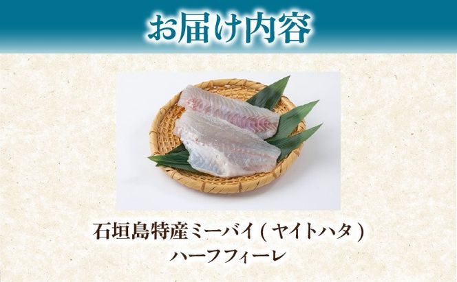 石垣島特産ミーバイ（ヤイトハタ）ハーフフィーレ KS-15