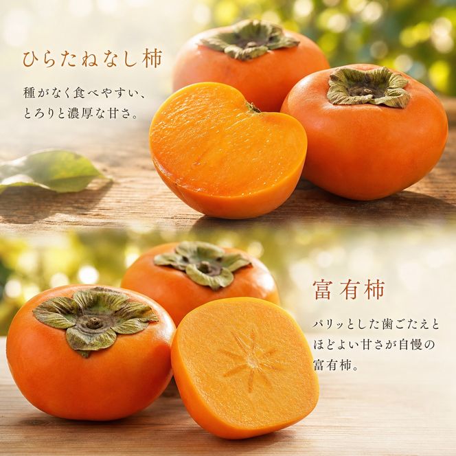 【7・8・10・11月 全4回】紀州和歌山産旬のフルーツセット（バレンシア・桃・ひらたねなし柿・富有柿）【UT81】 303446_XF91144