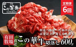 有田牧場直送 この華牛切り落とし600g 6ヶ月定期便_K20_T002_2
