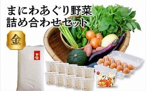 真庭あぐり野菜セット 詰め合わせセット 金 （野菜10品・卵・ヨーグルト・お米） / 産地直送 農家 お試し 岡山県 旬野菜 新鮮 あぐりガーデン 国産 蒜山 ジャージー牛 たまご 真庭市 カット野菜 平飼い卵 米 きぬむすめ yasai014 【配送不可地域：北海道／沖縄県／離島】 【jujy092-01】