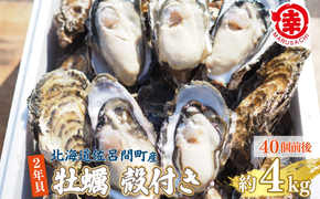 【先行予約】【10月中旬から順次発送】カキ 殻付き 2年貝 約4kg（40個前後） 佐呂間産  SRMA041