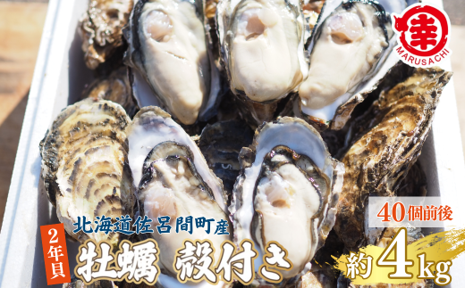 ykCCԒzys\zy10{珇zJL kt 2NL 4kgi40Oj CԎY  SRMA041