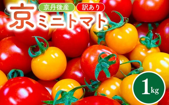 京丹後産・京ミニトマト 1kg（2026年5月中旬～発送）野菜 ミニトマト 1キロ サラダ 色とりどり とまと 京野菜 ふるさと納税 トマト 不揃い ふぞろい わけあり 訳アリ ワケアリ 訳有り 1きろ tomato JA京都 農協　JK00035