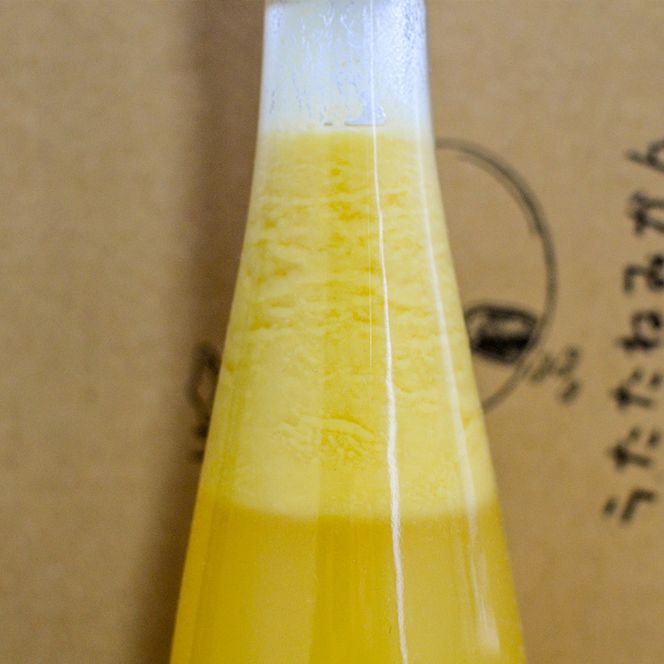 リモンチェッロ 500ml 2本セット 綺麗な湧水で育てた完熟レモンでつくりました!_EA6002