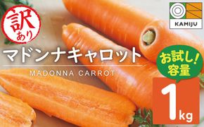 ＜フジテレビ『どっちのふるさと？』で紹介されました！＞【期間・数量限定】（お試し）訳あり！こどもも食べられる甘み！「マドンナキャロット」 1kg にんじん 人参 ニンジン 野菜 やさい 国産 碧南市 健康 食品ロス削減 甘い 先行予約 旬 特産 高評価 高リピート 人気 H105-263